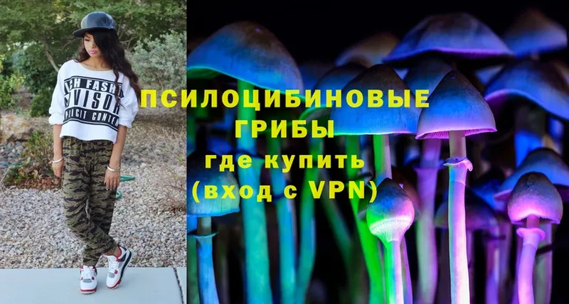 где можно купить   Углегорск  kraken ТОР  Галлюциногенные грибы Psilocybine cubensis 